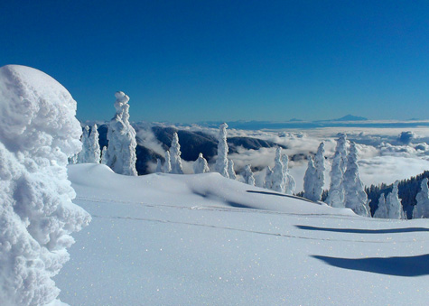 Snow in Canada