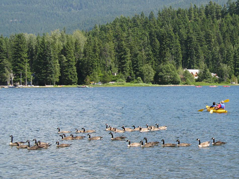 Paddling in Whistler BC