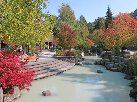 Glacial Stream in Whistler BC