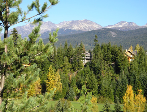 Mountains and Forest in Whistler BC Canada