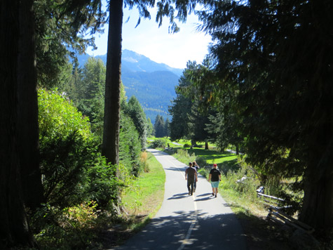 Walking Trail in Whistler Canada